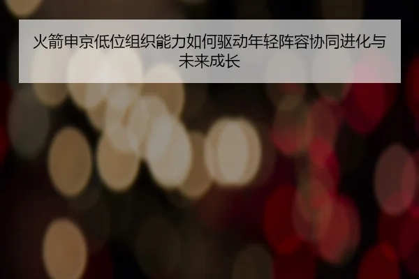 火箭申京低位组织能力如何驱动年轻阵容协同进化与未来成长