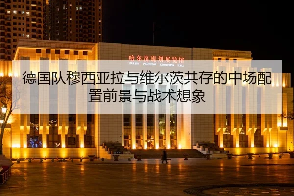de-guo-dui-mu-xi-ya-la-yu-wei-er-ci-gong-cun-de-zhong-chang-pei-zhi-qian-jing-yu-zhan-shu-xiang-xiang-2-591.jpg
